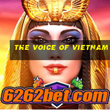 the voice of vietnam