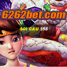 soi cau 358