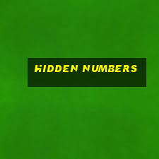 hidden numbers