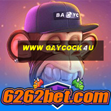 www gaycock4u