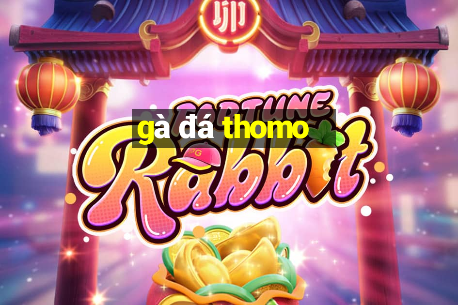 gà đá thomo