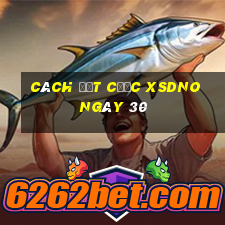 Cách đặt cược XSDNO ngày 30