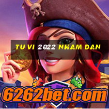 tu vi 2022 nham dan