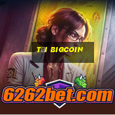 tải bigcoin