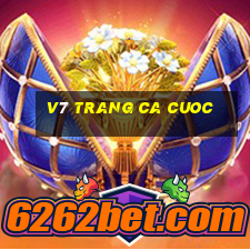 v7 trang ca cuoc