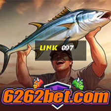 link 097