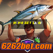 mảng bet là gì