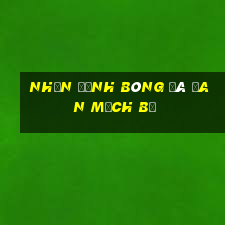 nhận định bóng đá đan mạch bỉ