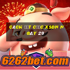 Cách đặt cược XSDN ngày 29